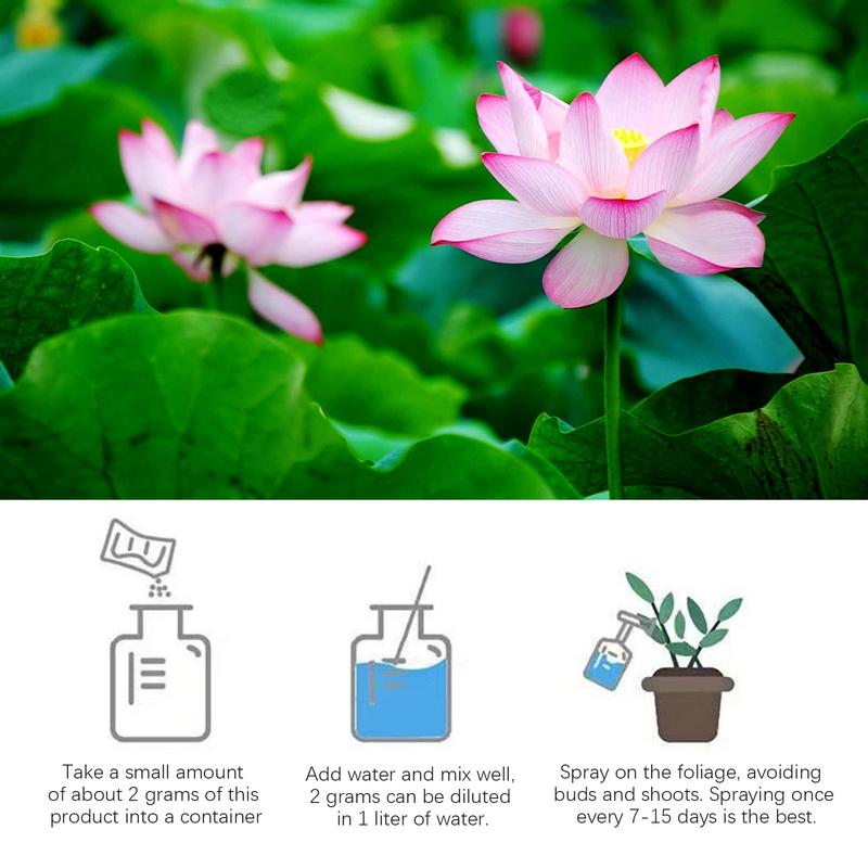 200g de lirio de agua Natural, - Aquarium Plant Nutrients reseña y precio