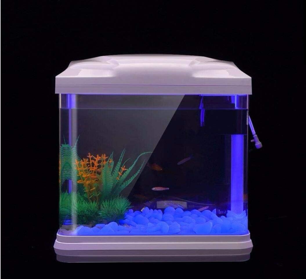 Rocas para pecera, guijarros a - Aquarium Planting reseña y precio