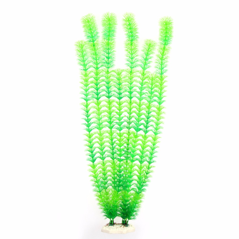 Alta calidad, 50 cm, plantas s - Aquarium Plant Seeds reseña y precio