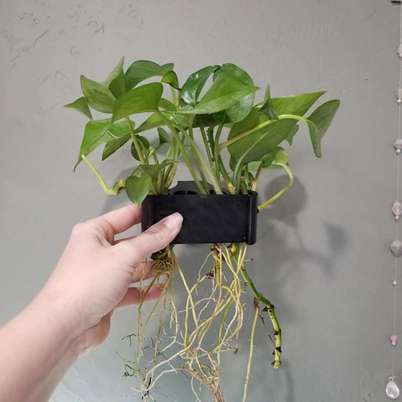 1, 2 o 3 Piezas de Soporte par - Aquarium Planted Setup reseña y precio