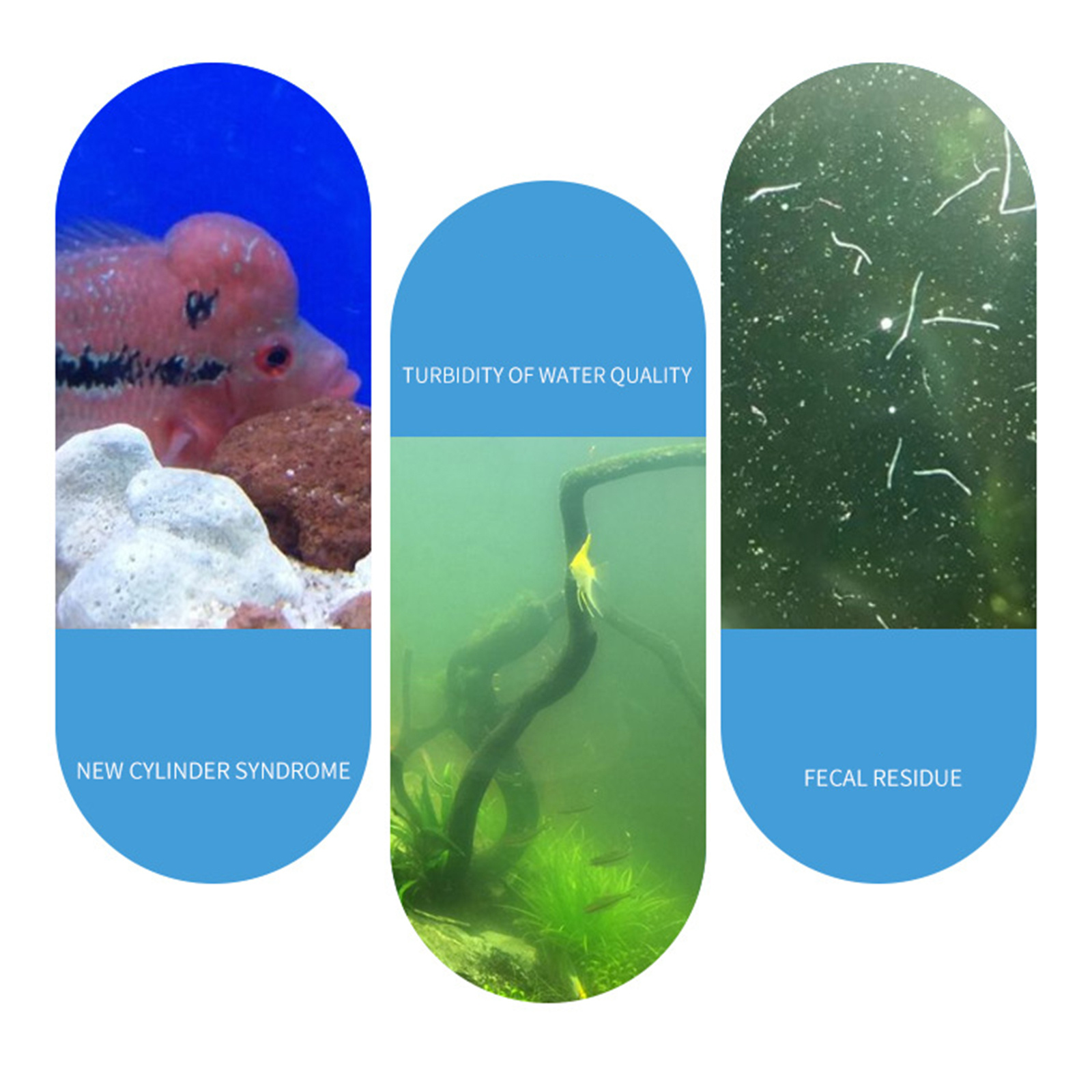 Polvo de nitrobacterias nitrif - Aquarium Plant Nutrients reseña y precio