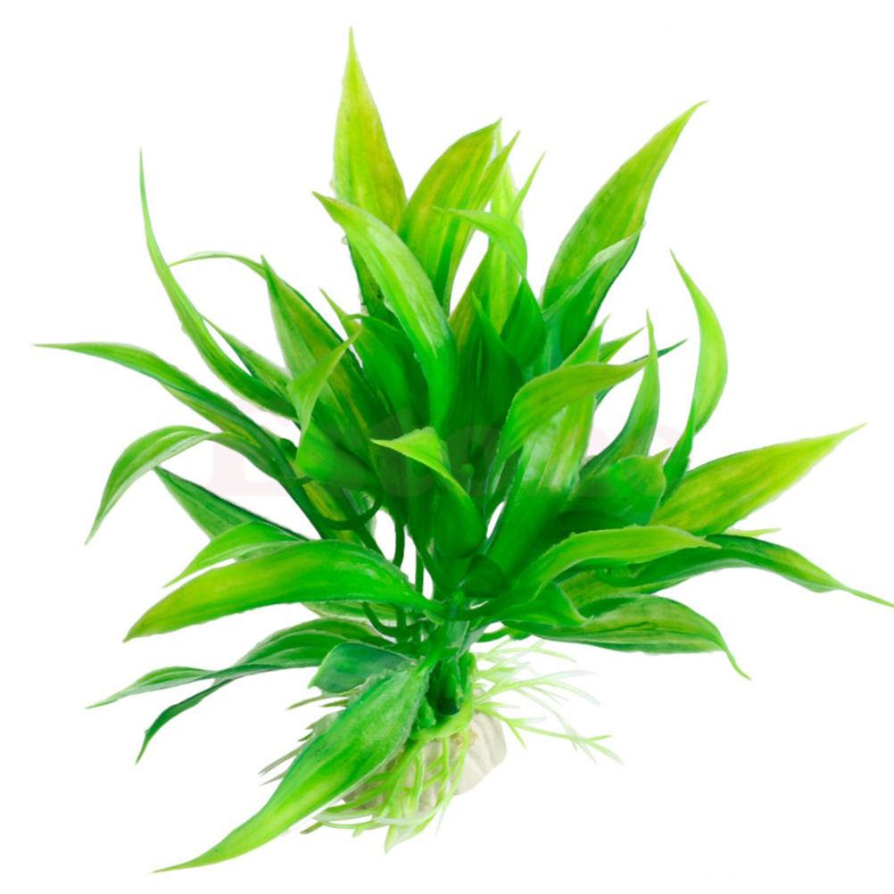 Adornos de plantas acuáticas a - Aquarium Plant Live reseña y precio