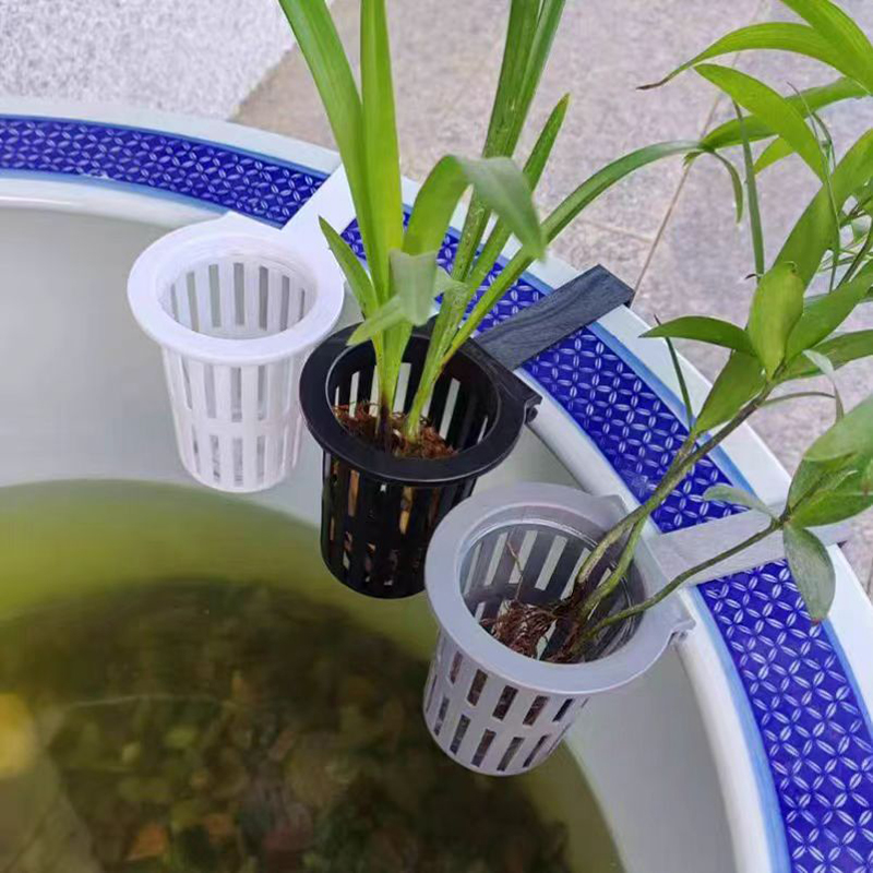 Cesta para plantas de acuario, - Aquarium Plant Live reseña y precio