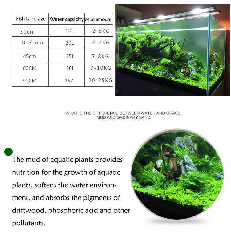 Semillas de plantas de Acuario - Aquarium Plant Seeds reseña y precio