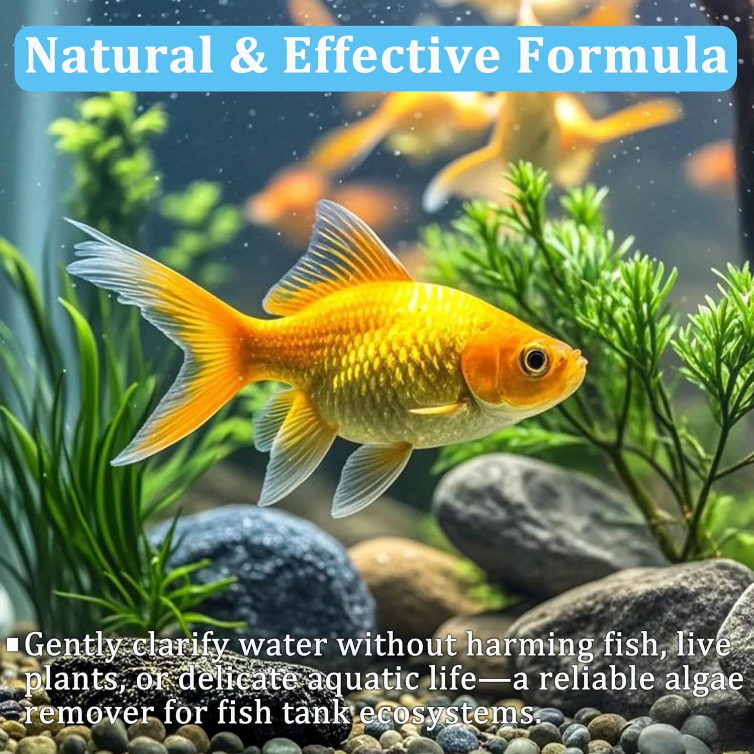 Tabletas Purificadoras de Agua - Aquarium Plant Nutrients reseña y precio