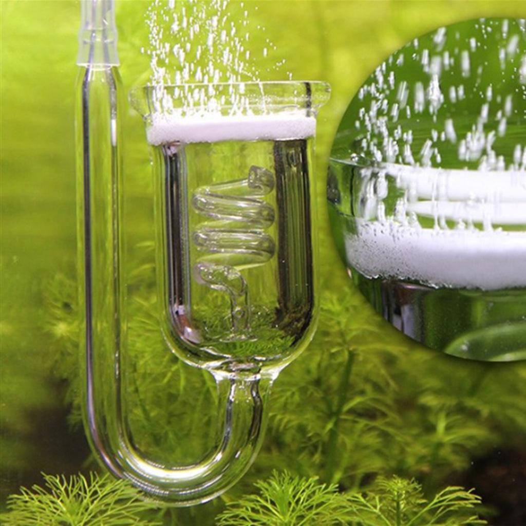 Difusor de CO2 de Vidrio Resis - Aquarium Planted Setup reseña y precio