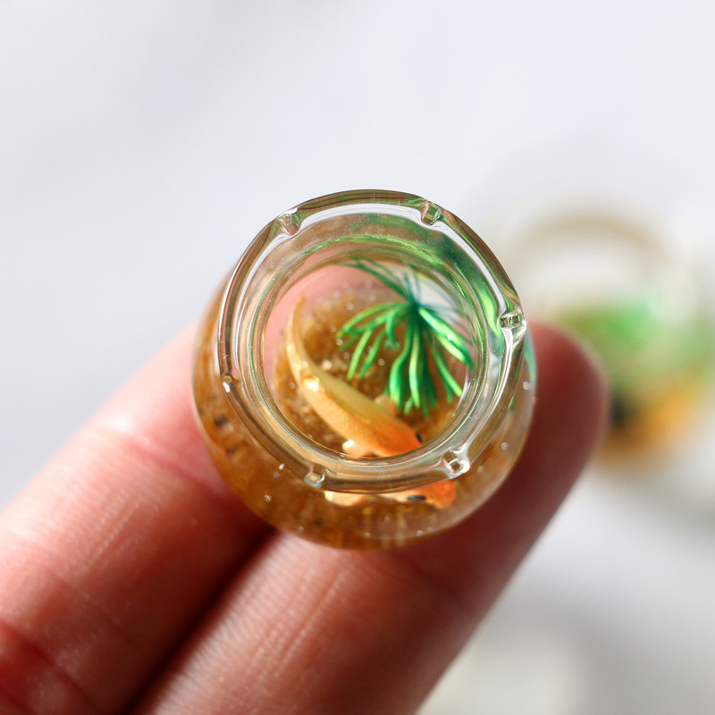 Mini casa de muñecas 1:12, sim - Planted Aquarium Photos reseña y precio