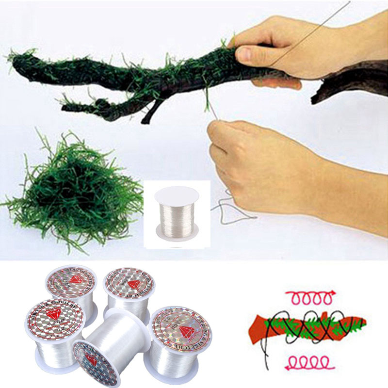 Línea de encuadernación de mus - Aquarium Plant Echinodorus reseña y precio