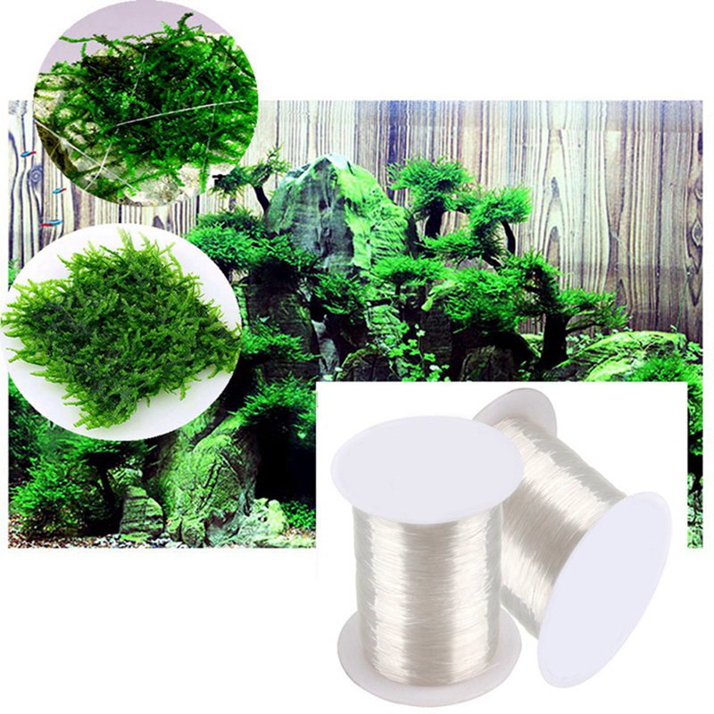 Línea de encuadernación de mus - Aquarium Plant Echinodorus reseña y precio