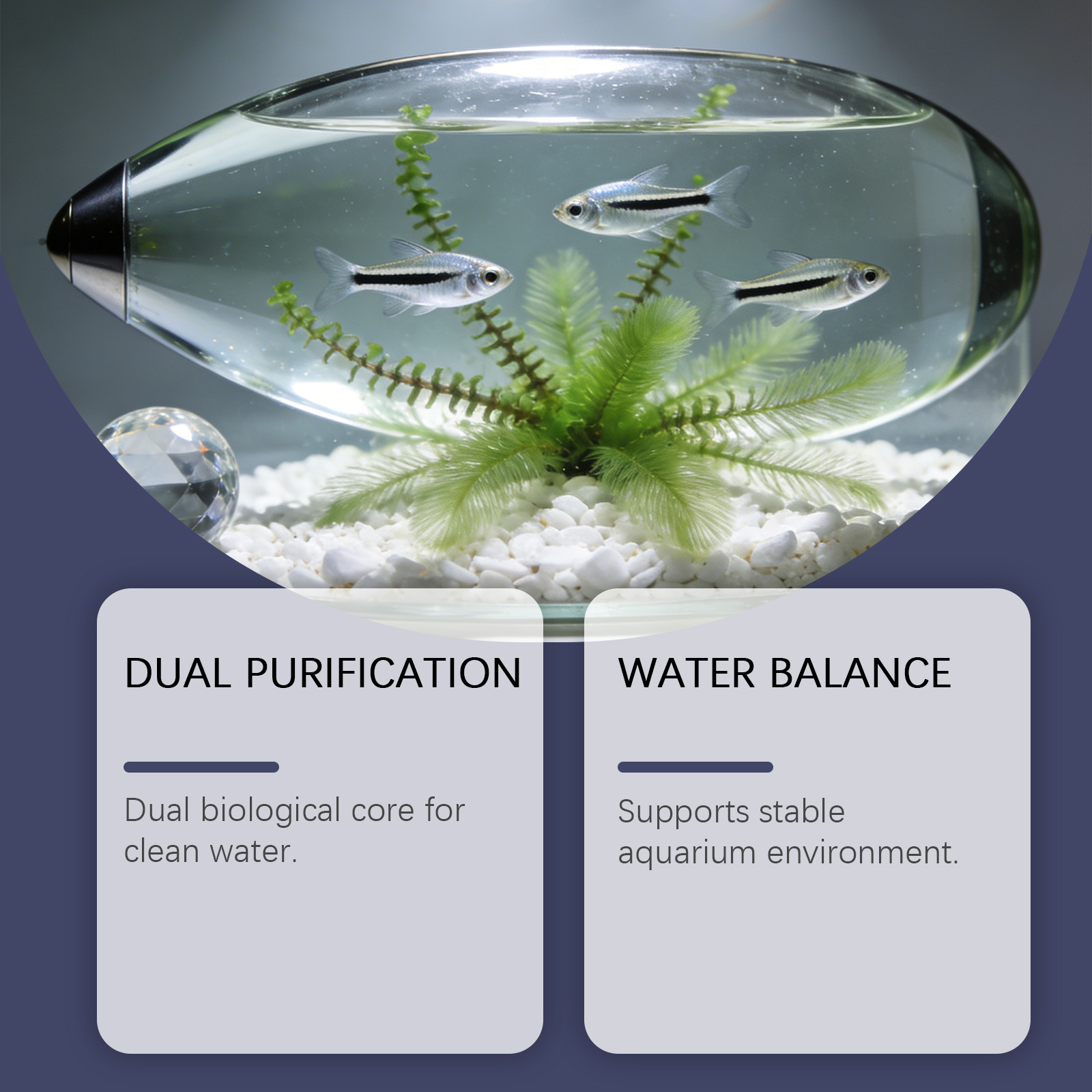 Tabletas Removedoras de Algas  - Planted Aquarium Cloudy Water reseña y precio