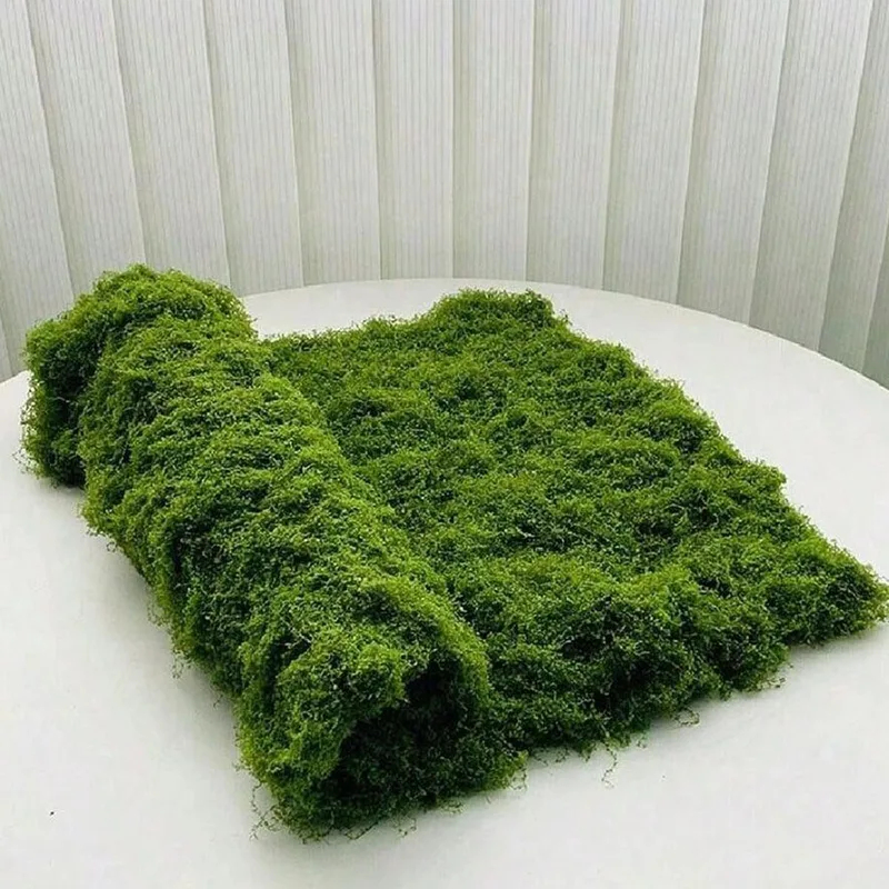Musgo artificial para decoraci - Aquarium Plant Seeds reseña y precio