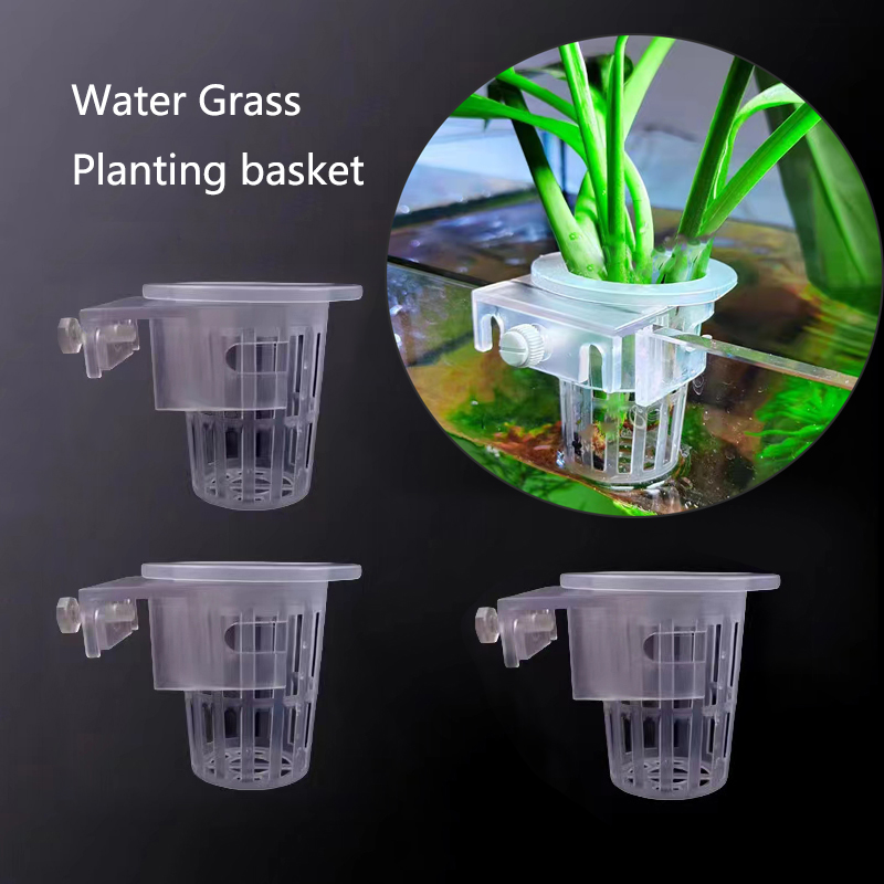 Cesta de plantación de acuario - Aquarium Plant Live reseña y precio